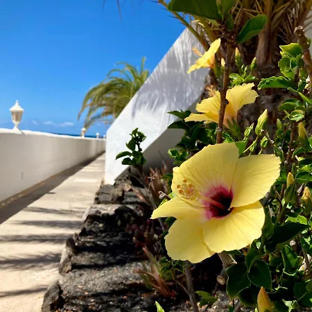 La Piedra Directo En Playa Apartmán La Oliva